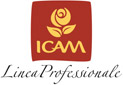 Logo Icam