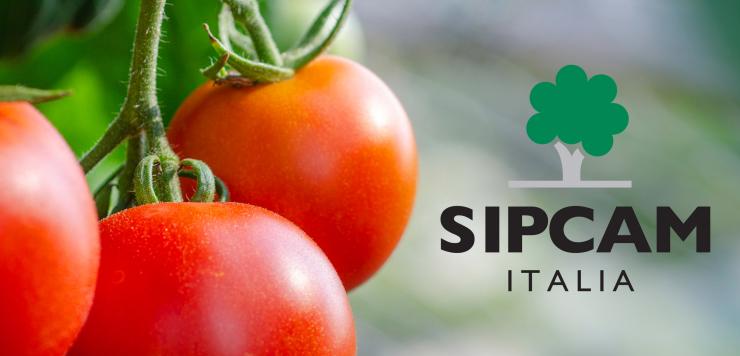 La campagna stampa Sipcam