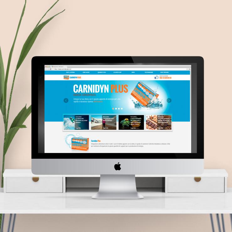 Sito web per Carnidyn Plus - copiaincolla