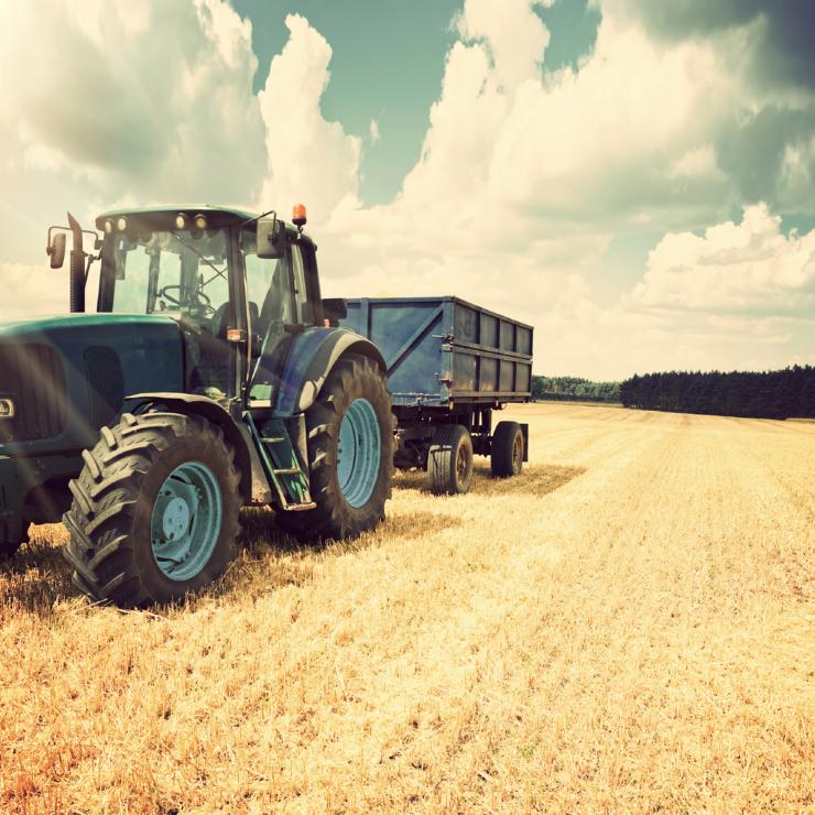 Una campagna pubblicitaria per assicurare gli agricoltori con sederi di frutta online e offline