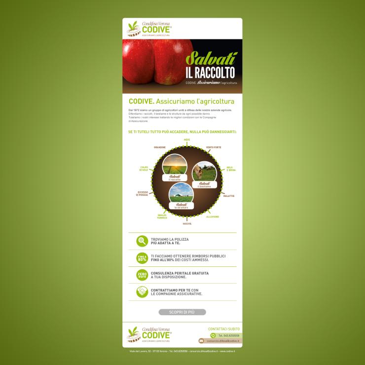 Il progetto digitale di landing page per Codive - copiaincolla