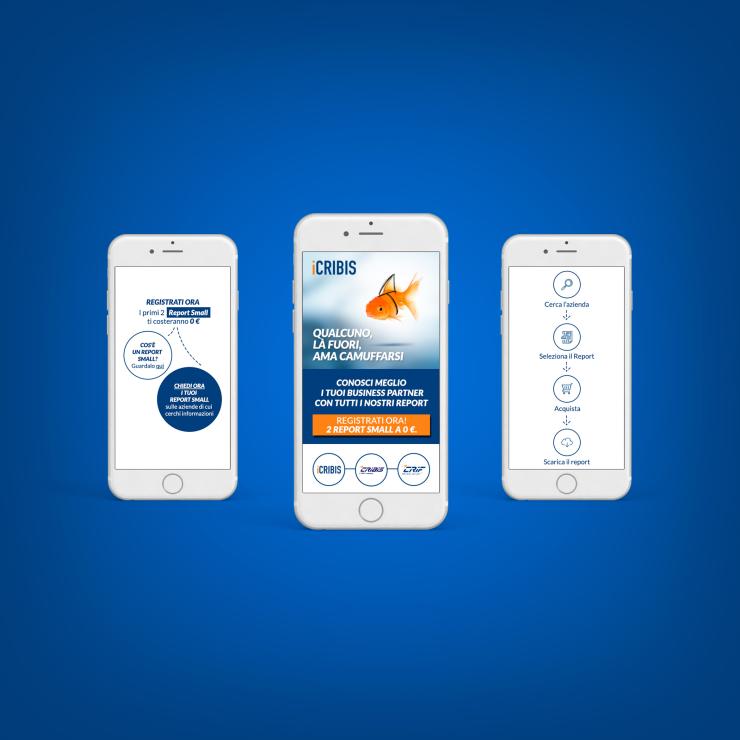 copiaincolla ha realizzato la landing page per Cribis
