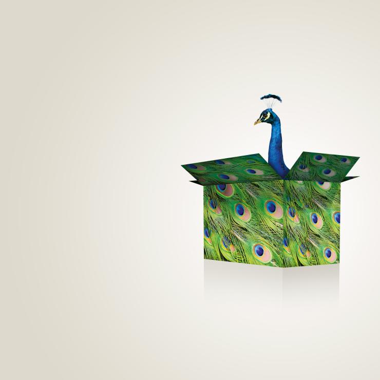 Il sito web e la comunicazione dinamica dello scatolificio Ival