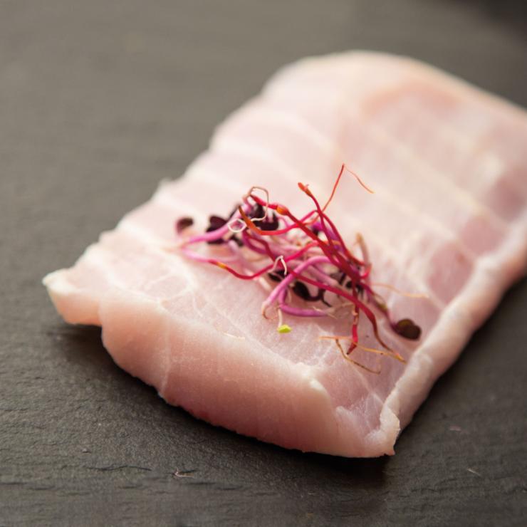 Un filetto fresco del food ittico Penseri