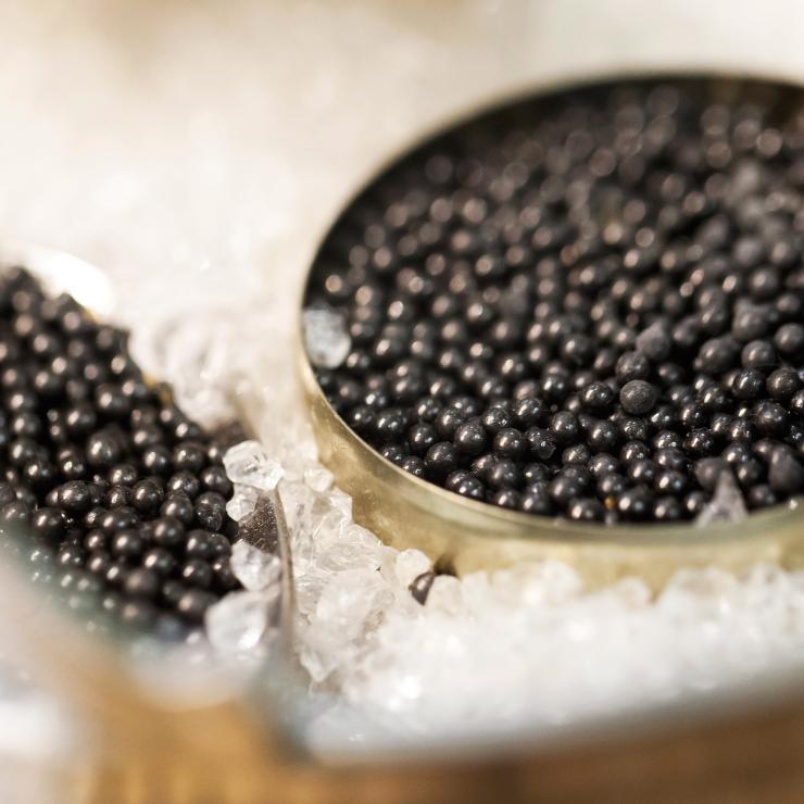 Lo dicono nome e marchio: Penseri è caviale per cultori