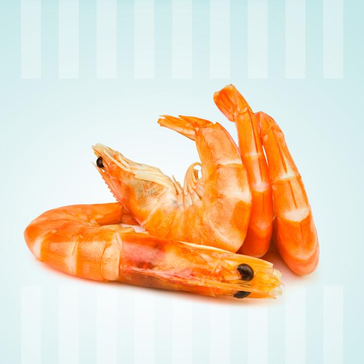 Sea Treasure pesce