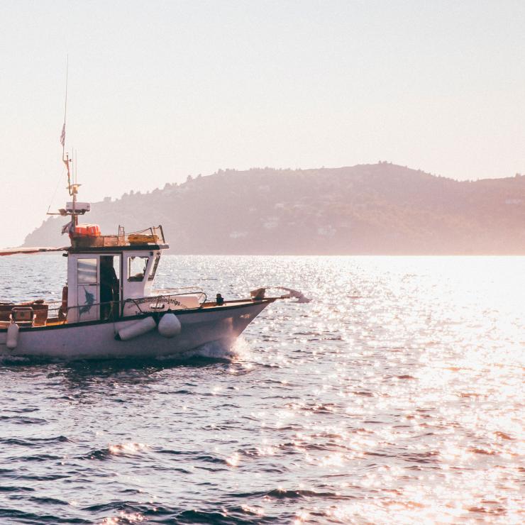 Sea Treasure e il packaging di prodotti ittici senza le solite foto di pesci