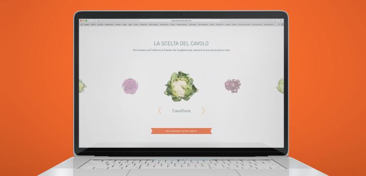 Il sito web di idea del cavolo