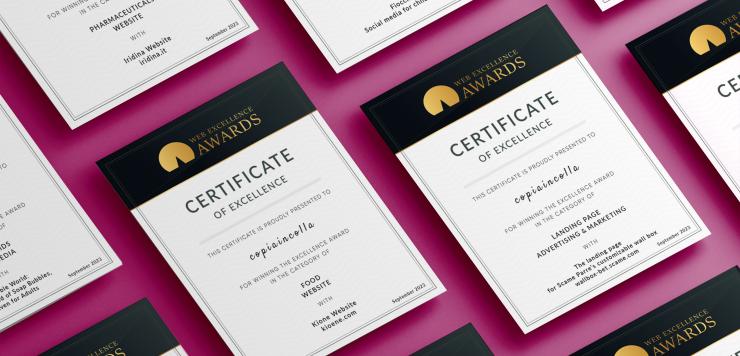 I 13 Web Excellence Awards assegnati alla nostra agenzia