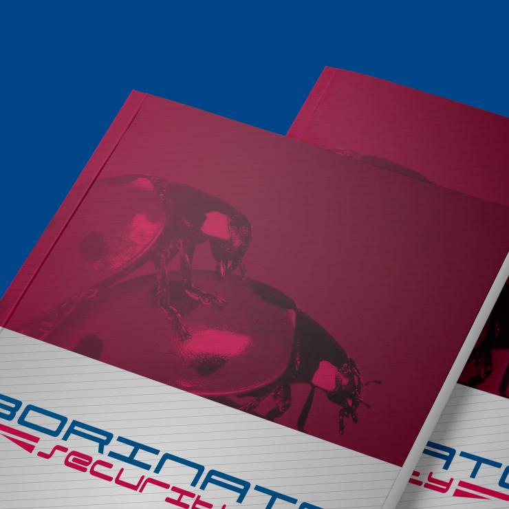 Borinato Security cover catalogo - copiaincolla