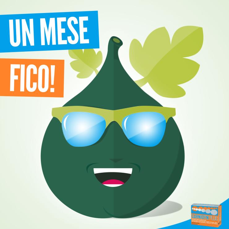 Post Facebook su consigli alimentari per Carnidyn Plus - copiaincolla