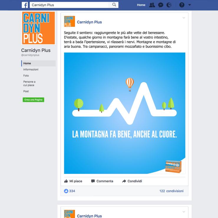 Piano editoriale su Facebook per Carnidyn Plus - copiaincolla