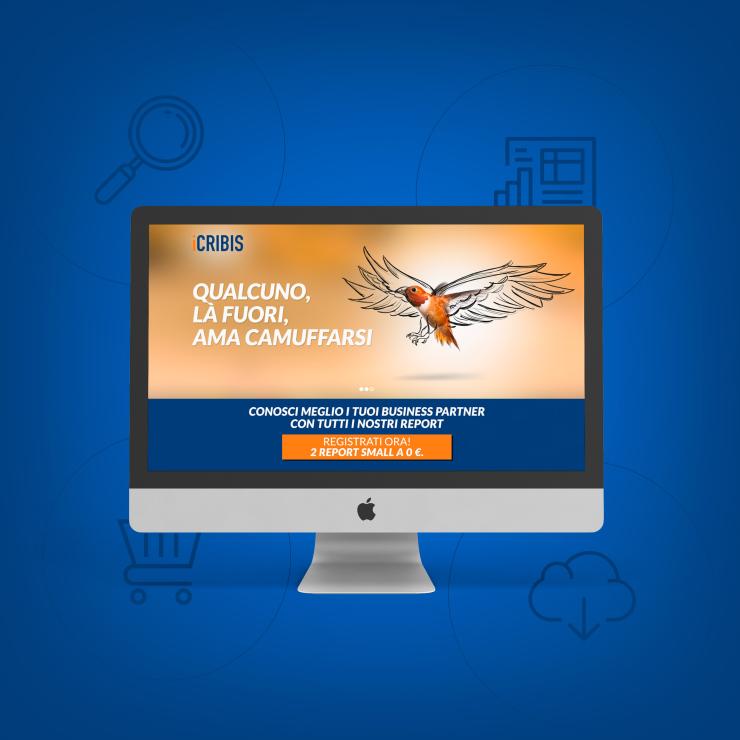 Landing page campagna web per Cribis - copiaincolla