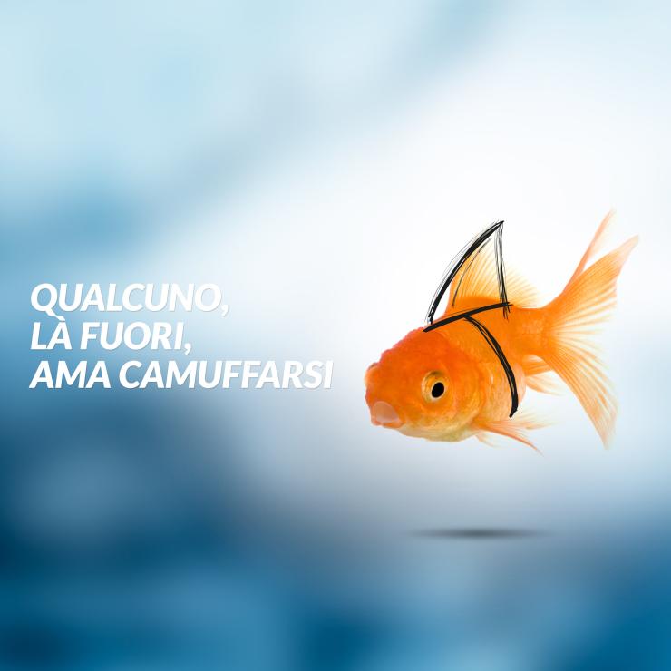 Il digital marketing per Cribis usa la metafora pesciolino vs squalo