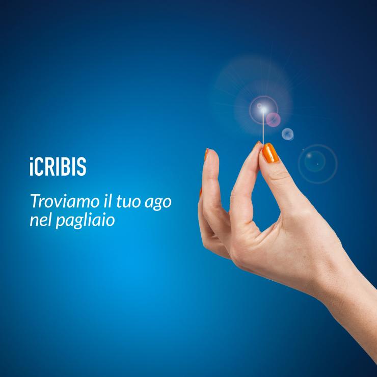 Campagna web per Cribis - copiaincolla