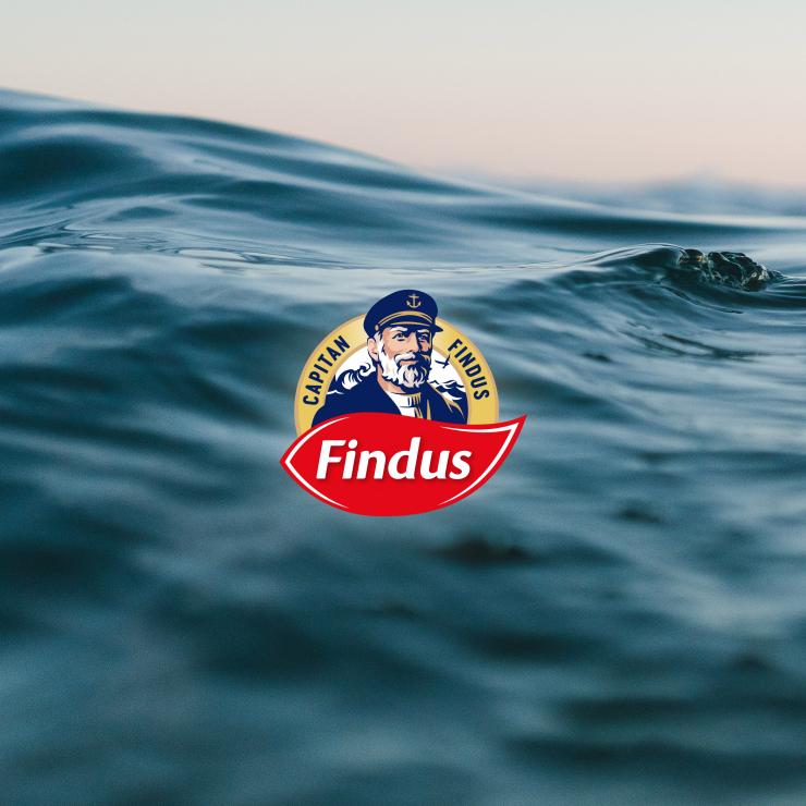 Logo Findus