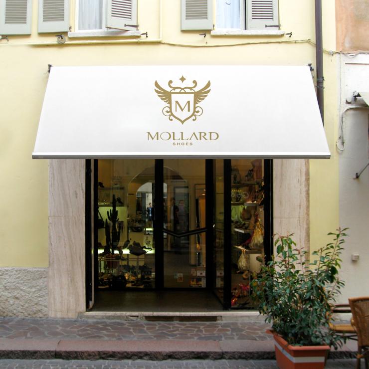 Mollard negozio - copiaincolla