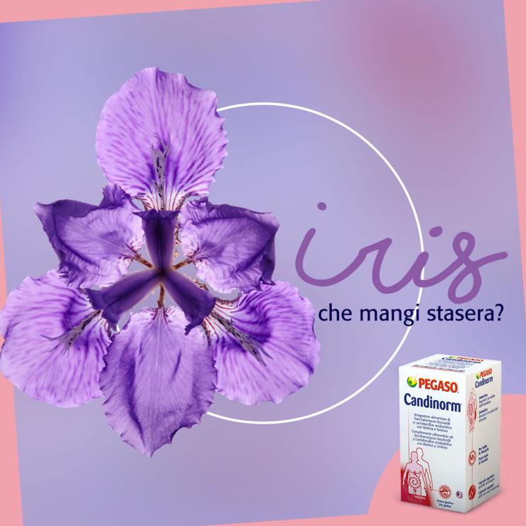 Key-visual per Pegaso di Schwabe Italia - copiaincolla