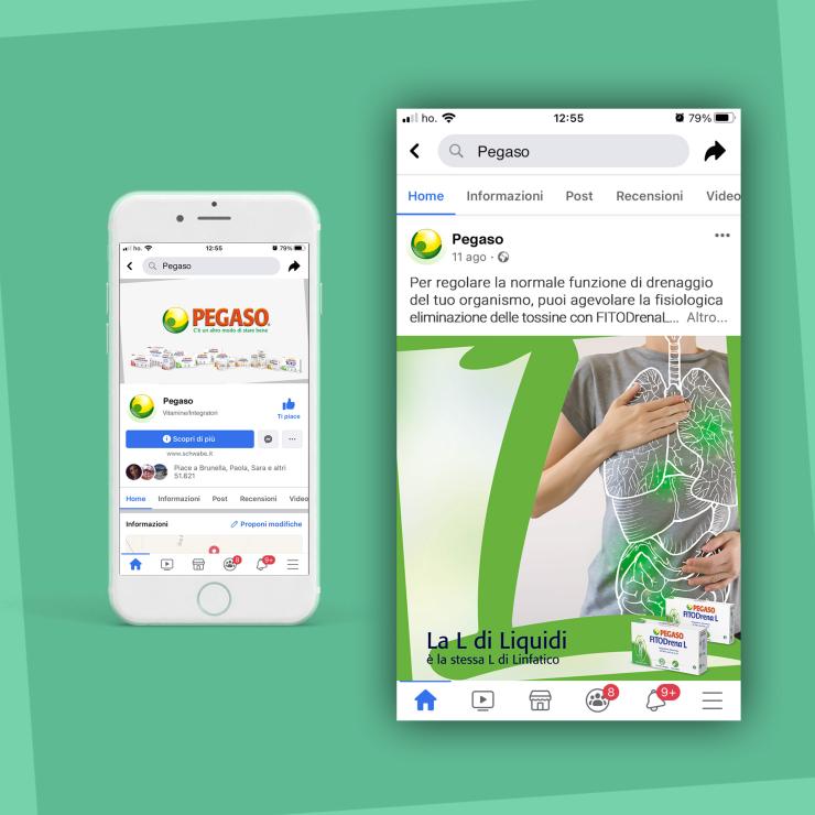 Comunicazione social per Pegaso Schwabe Italia Pharma - copiaincolla