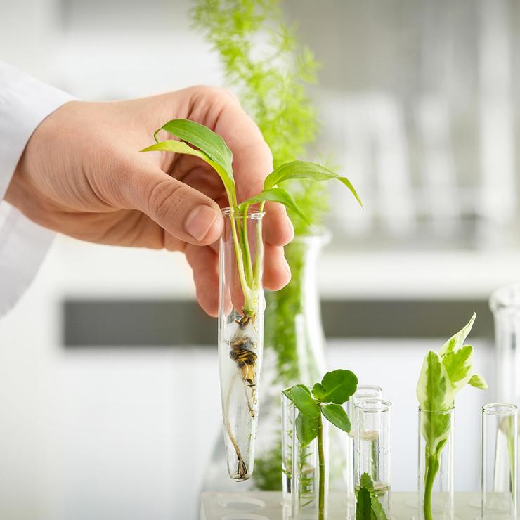 L'eticità di Prodeco Pharma è online con copiaincolla