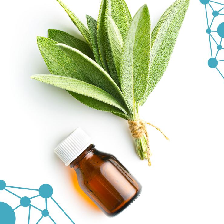 Il sito web per Prodeco Pharma
